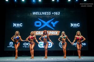 WELLNESS +163